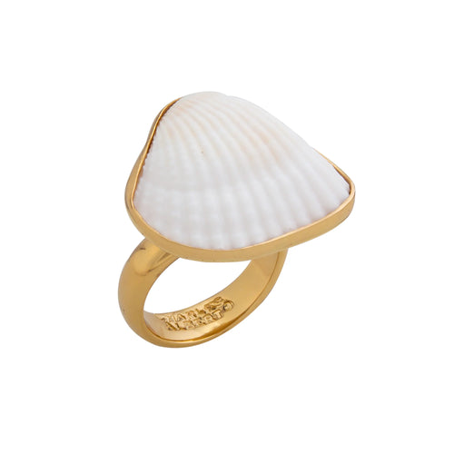R Ark Shell