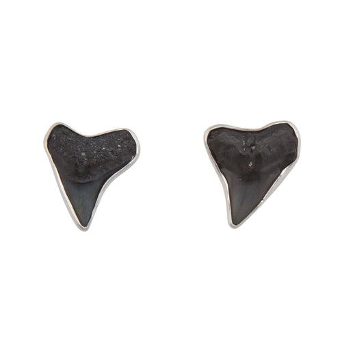 E Shark Teeth